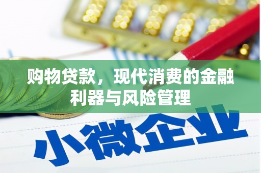 呼兰购物贷款，现代消费的金融利器与风险管理
