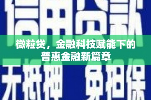 呼兰微粒贷，金融科技赋能下的普惠金融新篇章