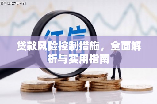 呼兰贷款风险控制措施，全面解析与实用指南