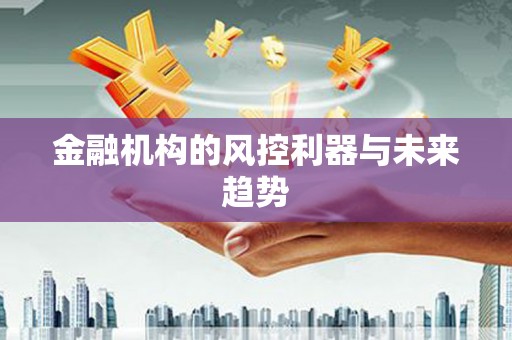 呼兰金融机构的风控利器与未来趋势