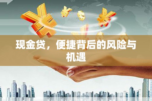 呼兰现金贷，便捷背后的风险与机遇