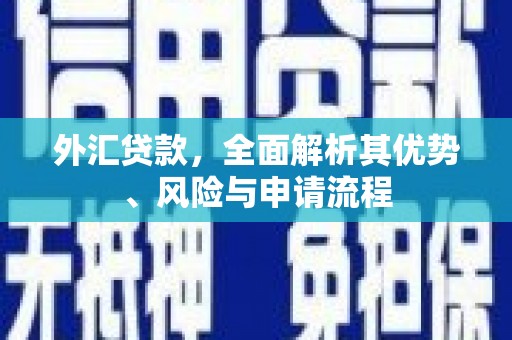 呼兰外汇贷款，全面解析其优势、风险与申请流程