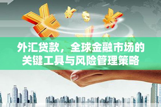 呼兰外汇贷款，全球金融市场的关键工具与风险管理策略