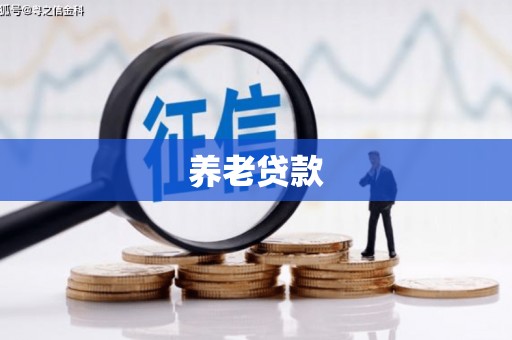 呼兰养老贷款