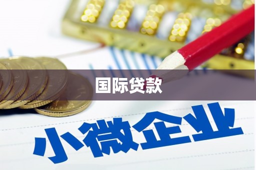 呼兰国际贷款