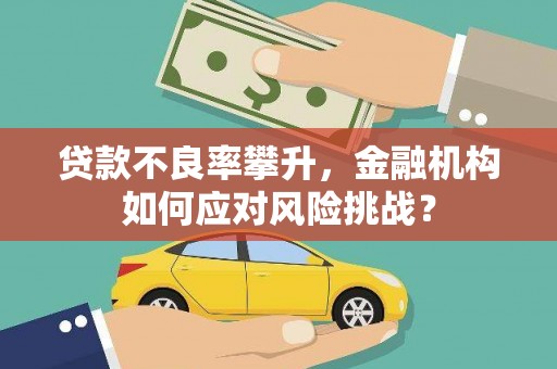 呼兰贷款不良率攀升，金融机构如何应对风险挑战？