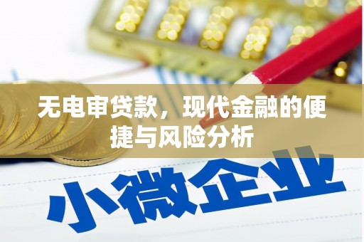 呼兰无电审贷款，现代金融的便捷与风险分析