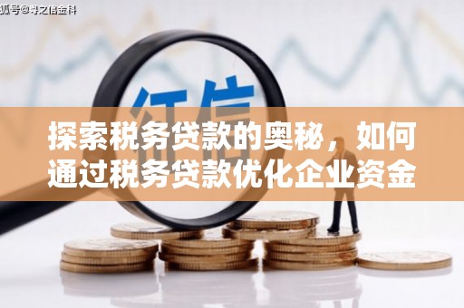 呼兰探索税务贷款的奥秘，如何通过税务贷款优化企业资金流