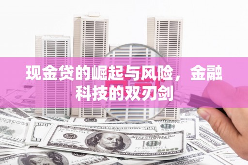 呼兰现金贷的崛起与风险，金融科技的双刃剑