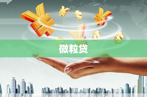 呼兰微粒贷