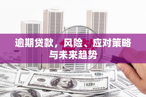 呼兰逾期贷款，风险、应对策略与未来趋势