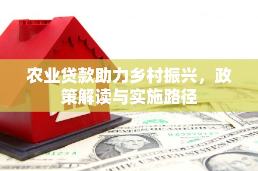 呼兰农业贷款助力乡村振兴，政策解读与实施路径