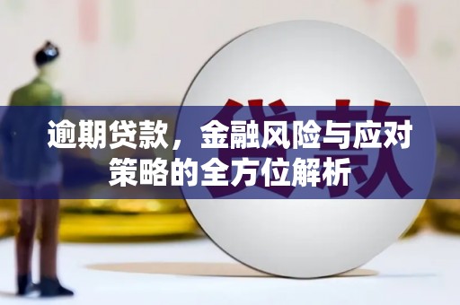 呼兰逾期贷款，金融风险与应对策略的全方位解析