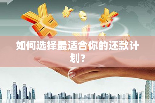 呼兰如何选择最适合你的还款计划？