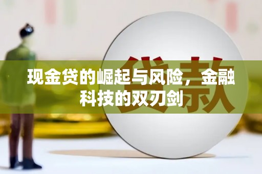 呼兰现金贷的崛起与风险，金融科技的双刃剑