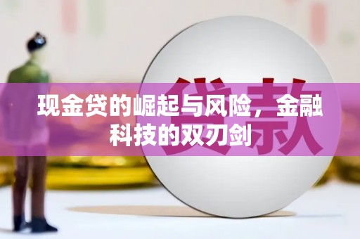 呼兰现金贷的崛起与风险，金融科技的双刃剑