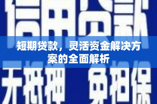 呼兰短期贷款，灵活资金解决方案的全面解析