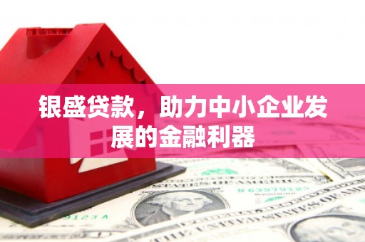 呼兰银盛贷款，助力中小企业发展的金融利器