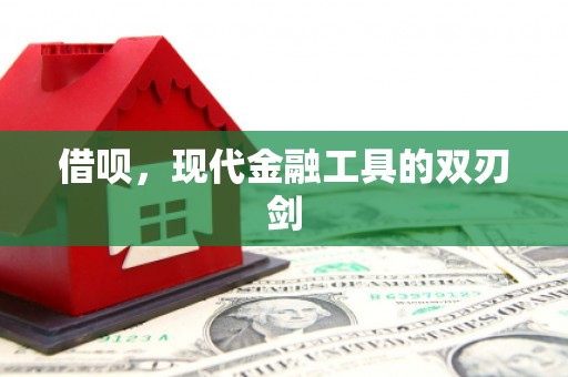 呼兰借呗，现代金融工具的双刃剑