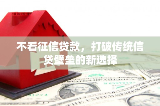 呼兰不看征信贷款，打破传统信贷壁垒的新选择