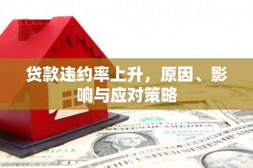 呼兰贷款违约率上升，原因、影响与应对策略