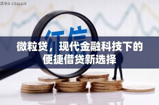 呼兰微粒贷，现代金融科技下的便捷借贷新选择