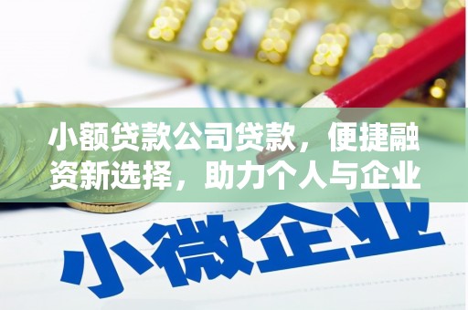 呼兰小额贷款公司贷款，便捷融资新选择，助力个人与企业成长