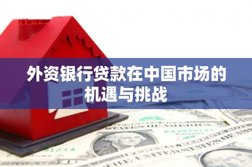 呼兰外资银行贷款在中国市场的机遇与挑战
