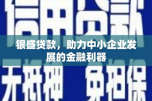 呼兰银盛贷款，助力中小企业发展的金融利器
