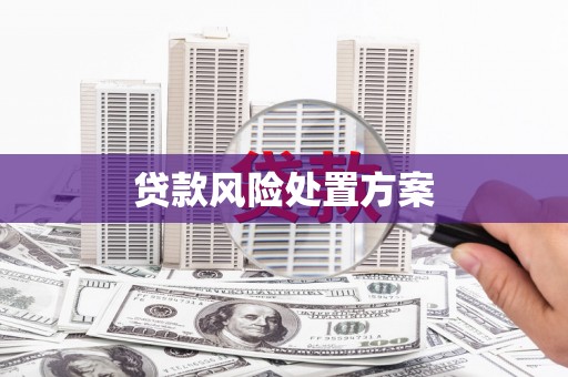 呼兰贷款风险处置方案