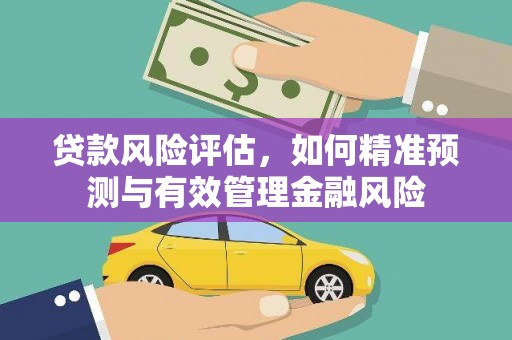 呼兰贷款风险评估，如何精准预测与有效管理金融风险