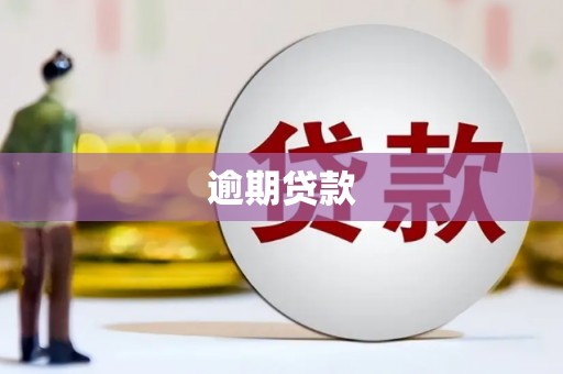 呼兰逾期贷款