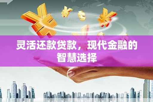 呼兰灵活还款贷款，现代金融的智慧选择