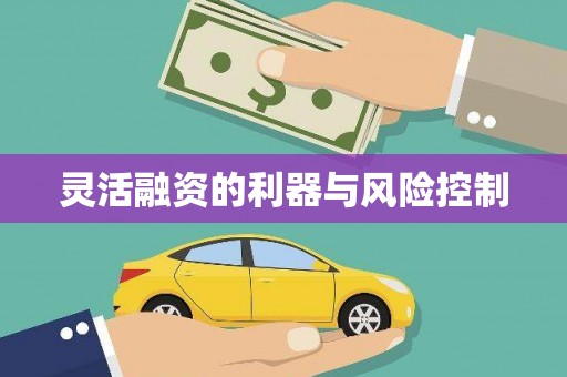 呼兰灵活融资的利器与风险控制
