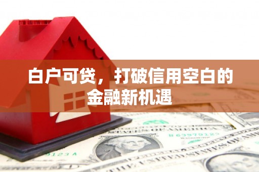 呼兰白户可贷，打破信用空白的金融新机遇