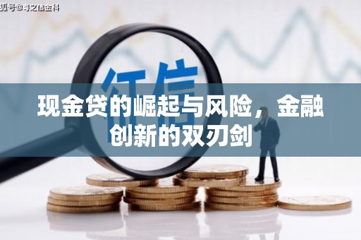 呼兰现金贷的崛起与风险，金融创新的双刃剑