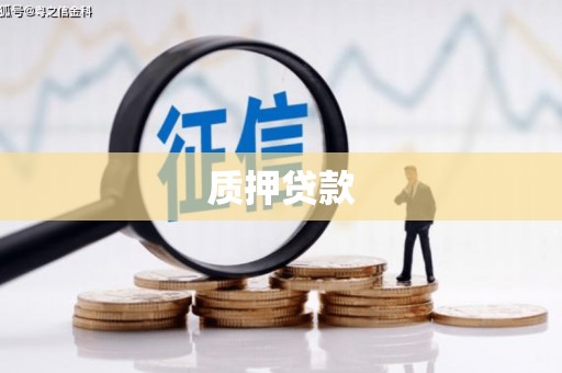 呼兰质押贷款