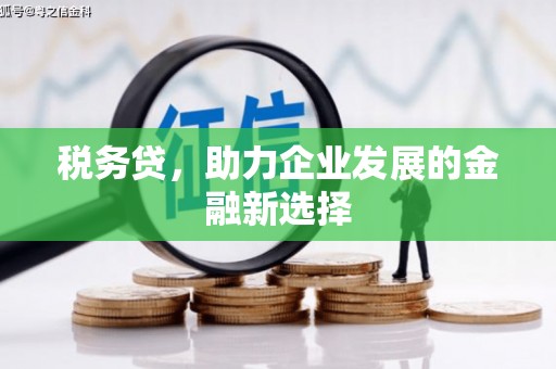 呼兰税务贷，助力企业发展的金融新选择