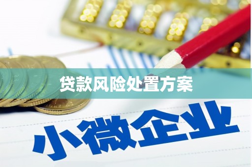 呼兰贷款风险处置方案