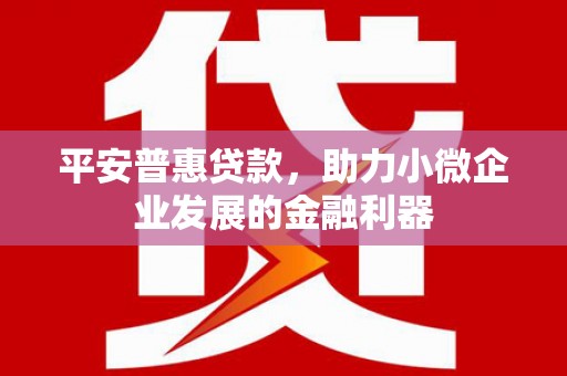 呼兰平安普惠贷款，助力小微企业发展的金融利器