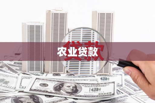 呼兰农业贷款