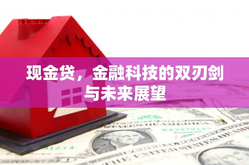 呼兰现金贷，金融科技的双刃剑与未来展望