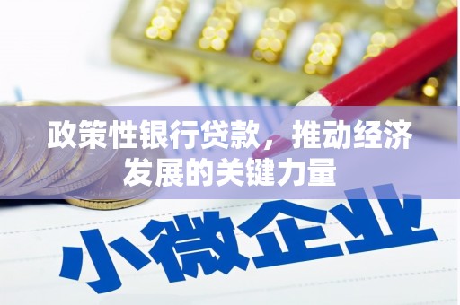 呼兰政策性银行贷款，推动经济发展的关键力量