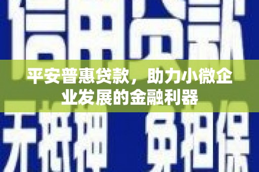 呼兰平安普惠贷款，助力小微企业发展的金融利器