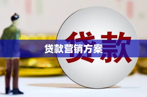 呼兰贷款营销方案