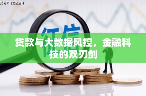 呼兰贷款与大数据风控，金融科技的双刃剑