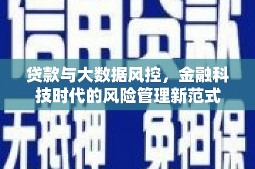 呼兰贷款与大数据风控，金融科技时代的风险管理新范式