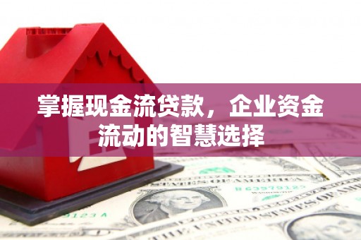 呼兰掌握现金流贷款，企业资金流动的智慧选择
