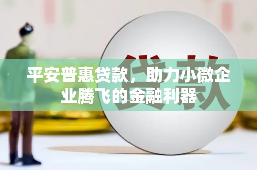 呼兰平安普惠贷款，助力小微企业腾飞的金融利器