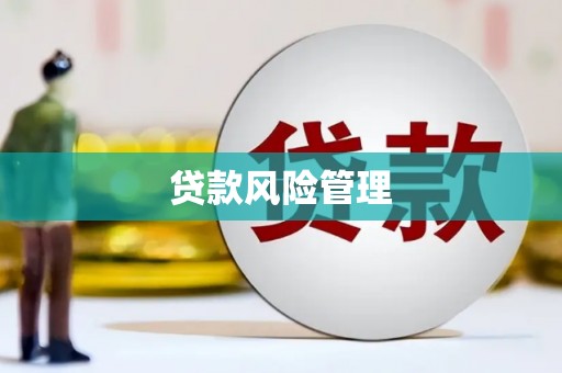 呼兰贷款风险管理